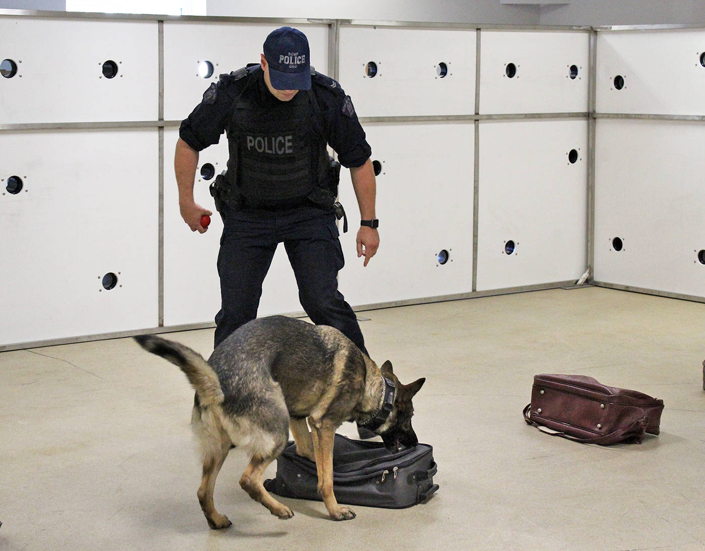 TRAINING - RCMP Cpl. Daniel Block and his five-year-old Police Service Dog Eve, give a demonstration on how they are trained to detect the deadly opioid fentanyl.                                Carlie Connolly/Red Deer Express