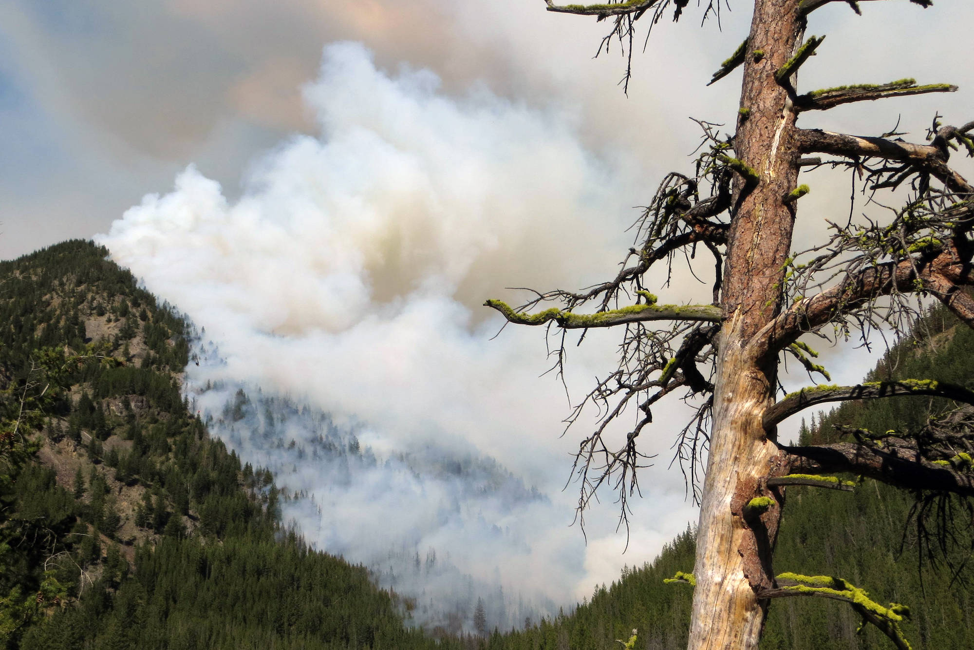 Cross-border wildfire continues to burn