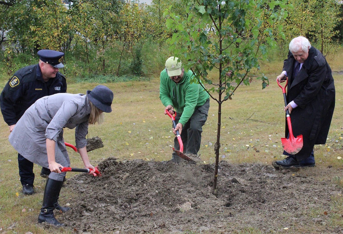 TREE PLANTING - From left Mayor Tara Veer, Kent Kryzanowski, Constable of CN Police Service, Gerard Fournier with Tree Canada and City Manager Craig Curtis plant a Maple tree in Oriole Park. Carlie Connolly/Red Deer Express