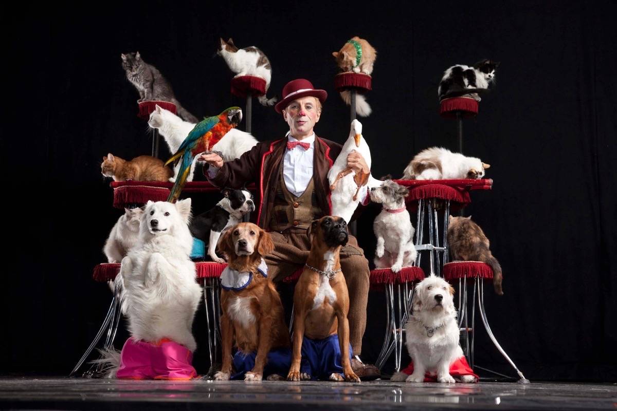 MESMERIZING - Popovich Comedy Pet Theater is heading to Red Deer on Oct. 14th with a show at the Red Deer College Arts Centre. photo submitted