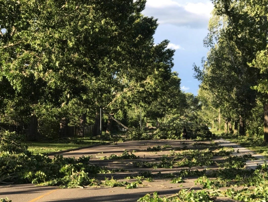 WIND STORM - The City of Red Deer’s wind storm left 15,000 properties without power for varying lengths of time. File photo