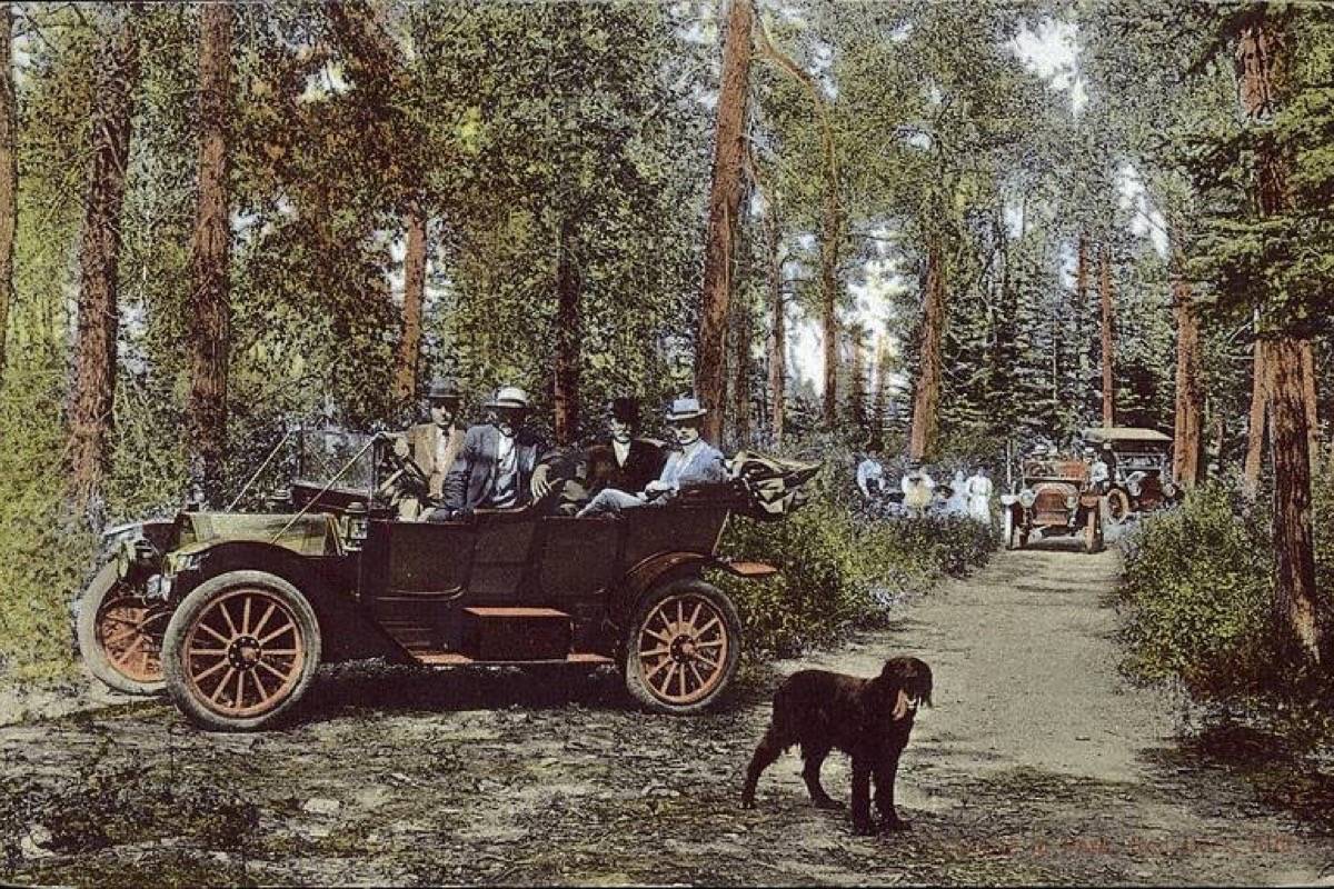 GREAT OUTDOORS - Excursion to Gaetz Park, 1911. Included in the photo are G.W. Smith, Stan Carscallen, Joseph Wallace and Philip Chadsey. The name of the dog was not recorded. Photo from Peel’s Prairie Postcards