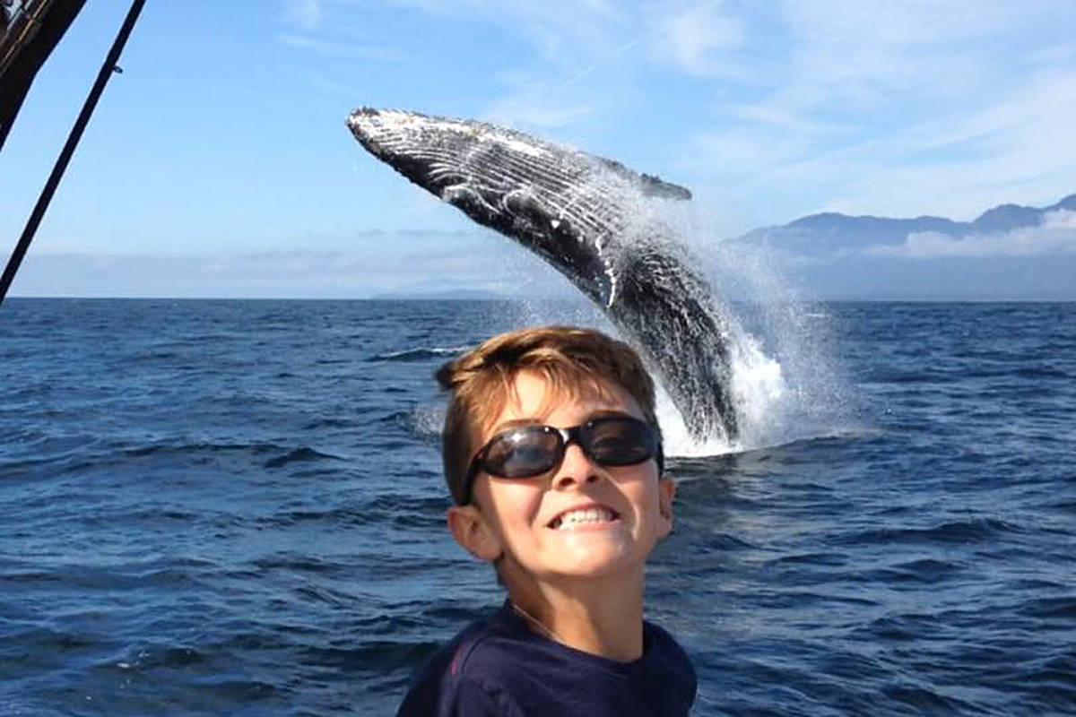 A youngster on a Nootka Island Wilderness Lodge trip got his picture taken with a breaching whale on Sept. 16 on the west coast of Vancouver Island. Photo by Davis Rennie