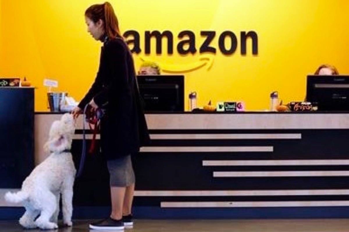 Amazon gets 238 proposals for 2nd headquarters