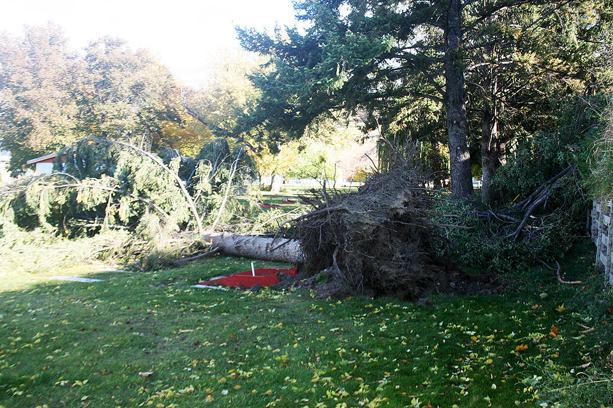 Wind warning in effect for Red Deer