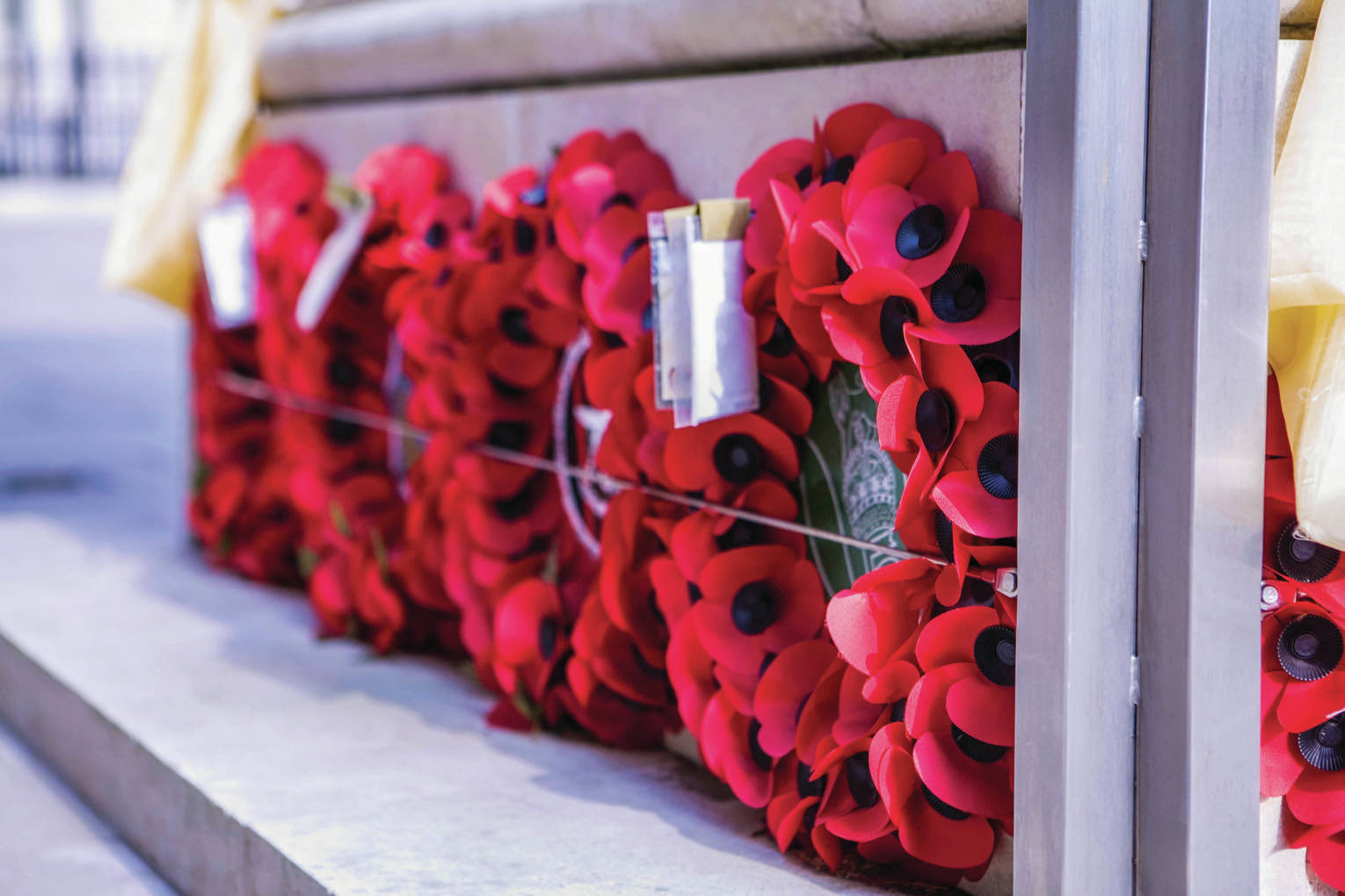 Honouring the men and women who served our country