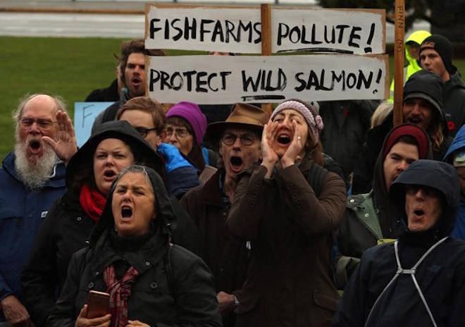 B.C. fish farm protest to continue amid court action