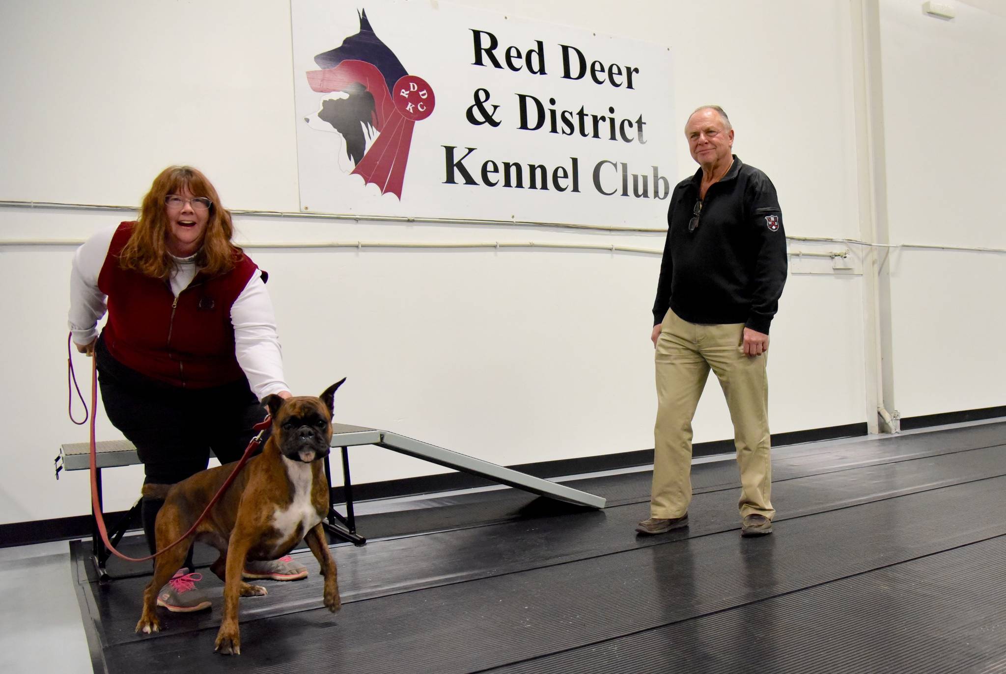 NEW HOME - Celi, a three-year-old Boxer, can hardly contain his excitement as he explores the Red Deer and District Kennel Club’s new facility. Celi is pictured with his human Cindy Thomas and Ivan Busenius, members of the Kennel Club, on Nov 29th.Michelle Falk/Red Deer Express