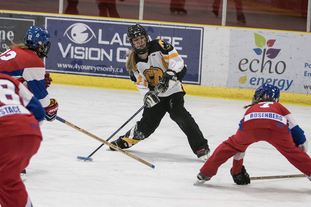 ICE BREAKER - The U19 AA Sting captured a bronze medal in front of their home fans at the Ice Breaker Tournament in Lacombe. Todd Colin Vaughan/Red Deer Express