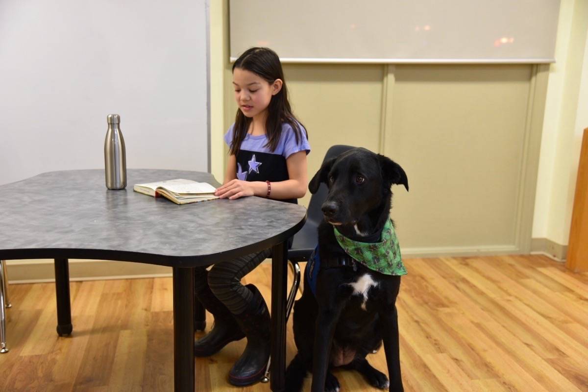 FURRY READING BUDDY - Nine-year-old Hannah Weldon reads to Sadie at the the Red Deer Public Library downtown branch as part of the Reading Tails program. Michelle Falk/Red Deer Express