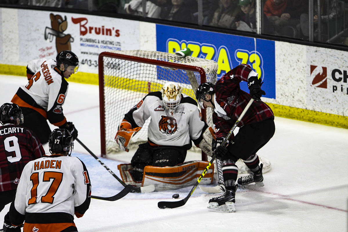 SOLID WIN - The Rebels won 5-2 over the Medicine Hat Tigers to put themselves into the playoffs. Todd Colin Vaughan/Red Deer Express