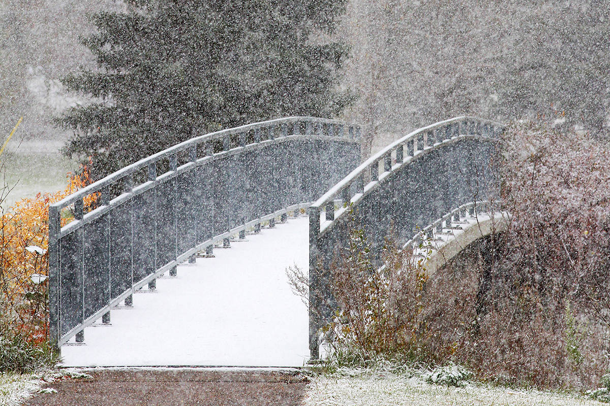 Snowfall warning set for central Alberta