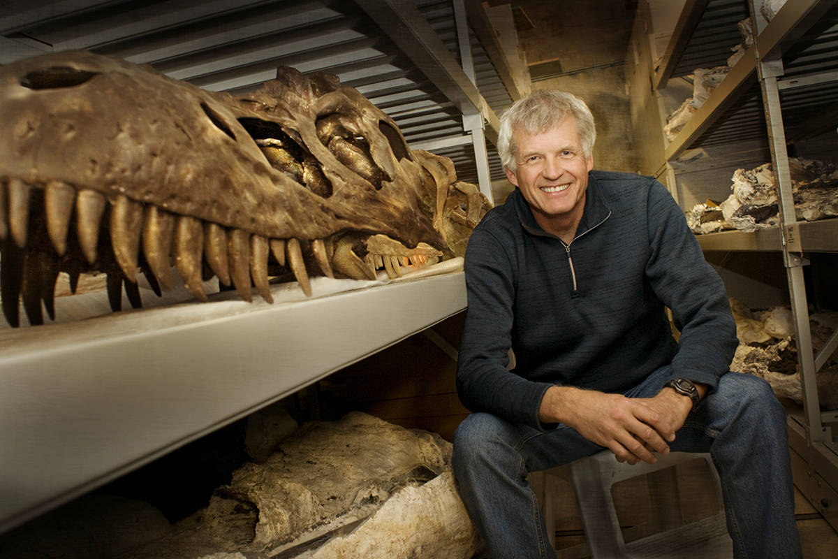 FASCINATING FIELD - University of Alberta professor and former Royal Tyrrell Museum curator of dinosaurs Philip J. Currie is coming to Red Deer College to present new information about Alberta’s famous raptor on March 29th.                                photo submitted by the Alberta Order of Excellence                                RAPTOR OF ALBERTA - Saurornitholestes langstoni, better known as the Raptor of Alberta has been of significant interest since it was discovered and excavated by University of Alberta Palaeontologiest in 2014, in the Alberta Dinosaur Provincial Park. The fossil is 75 million years old. Alive the raptor was about the size of a German Sheperd Dog.                                 Photo supplied by Philip Currie.