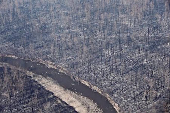 Burned trees are shown in Fort McMurray, Alta., in a May 13, 2016, file photo. A new study shows half of Alberta’s boreal forest could disappear by 2100 due to wildfires and climate change.THE CANADIAN PRESS/Jason Franson