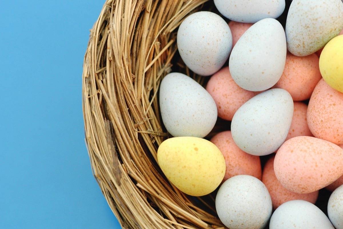 Alberta RCMP: How to be ‘egg-stra’ safe this Easter