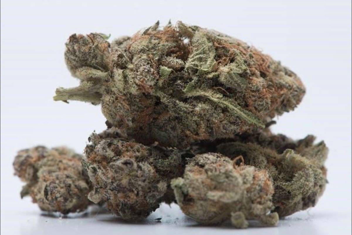 Medical marijuana patients want the federal government to exempt medicinal cannabis from excise taxes. (Photo by THE CANADIAN PRESS)