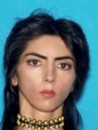 YouTube shooter’s bizarre videos key to suspected motive