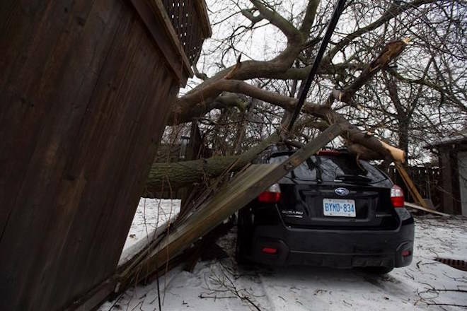 A car damaged by a fallen tree branch is shown in Toronto, Monday, April 16, 2018. THE CANADIAN PRESS/Frank Gunn