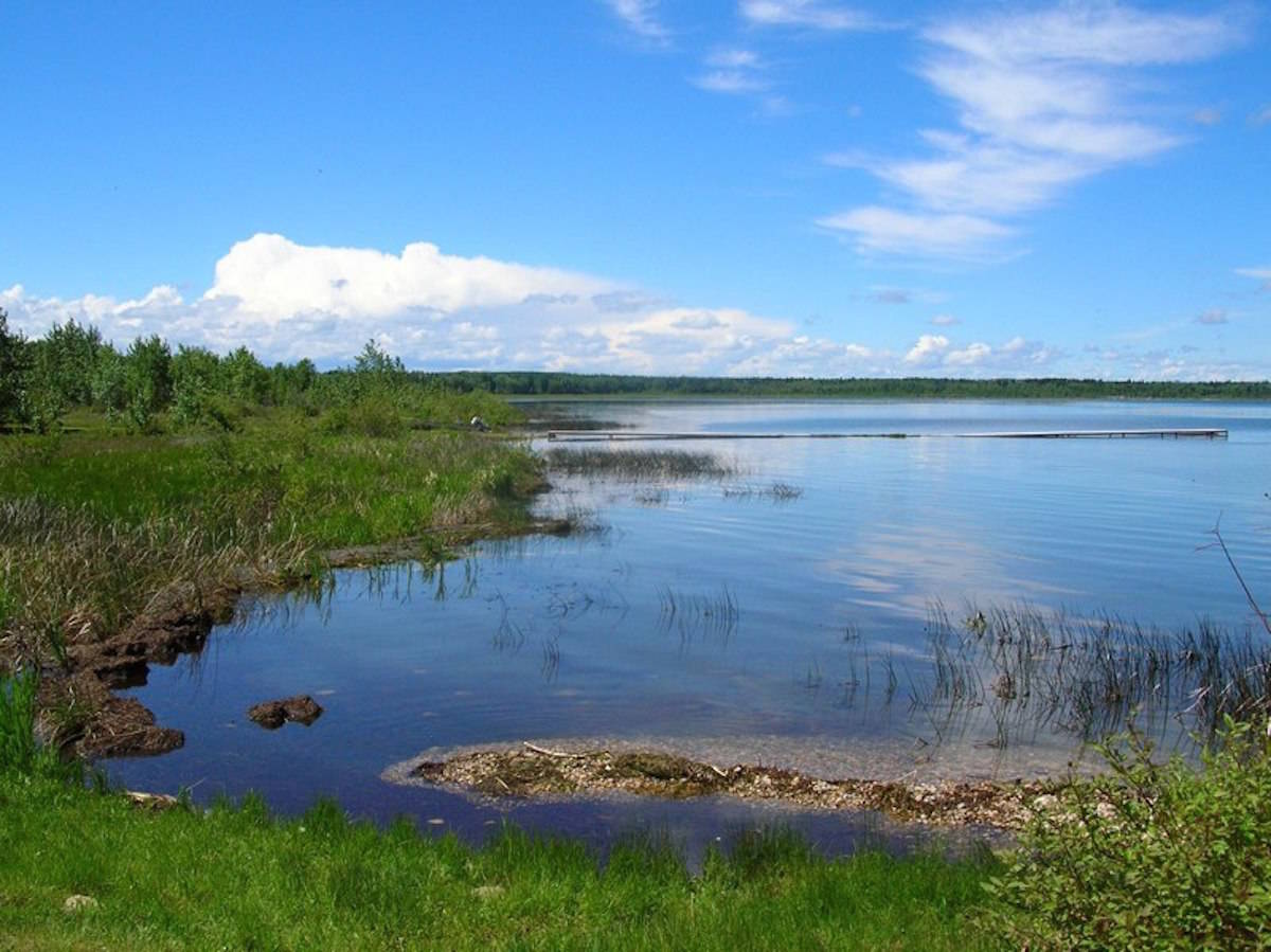 A large amount of Prussian carp in Gull Lake has halted water being pumped into it by Alberta Environment. Ponoka County discussed the issue at its recent meeting.File photo