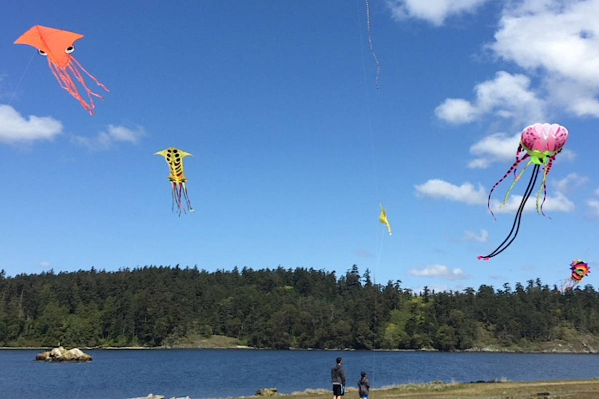 Residents have been taking advantage of all of this sunshine. Daisy McMurray took this photo of kites at Esquimalt Lagoon in Victoria. (Submitted)