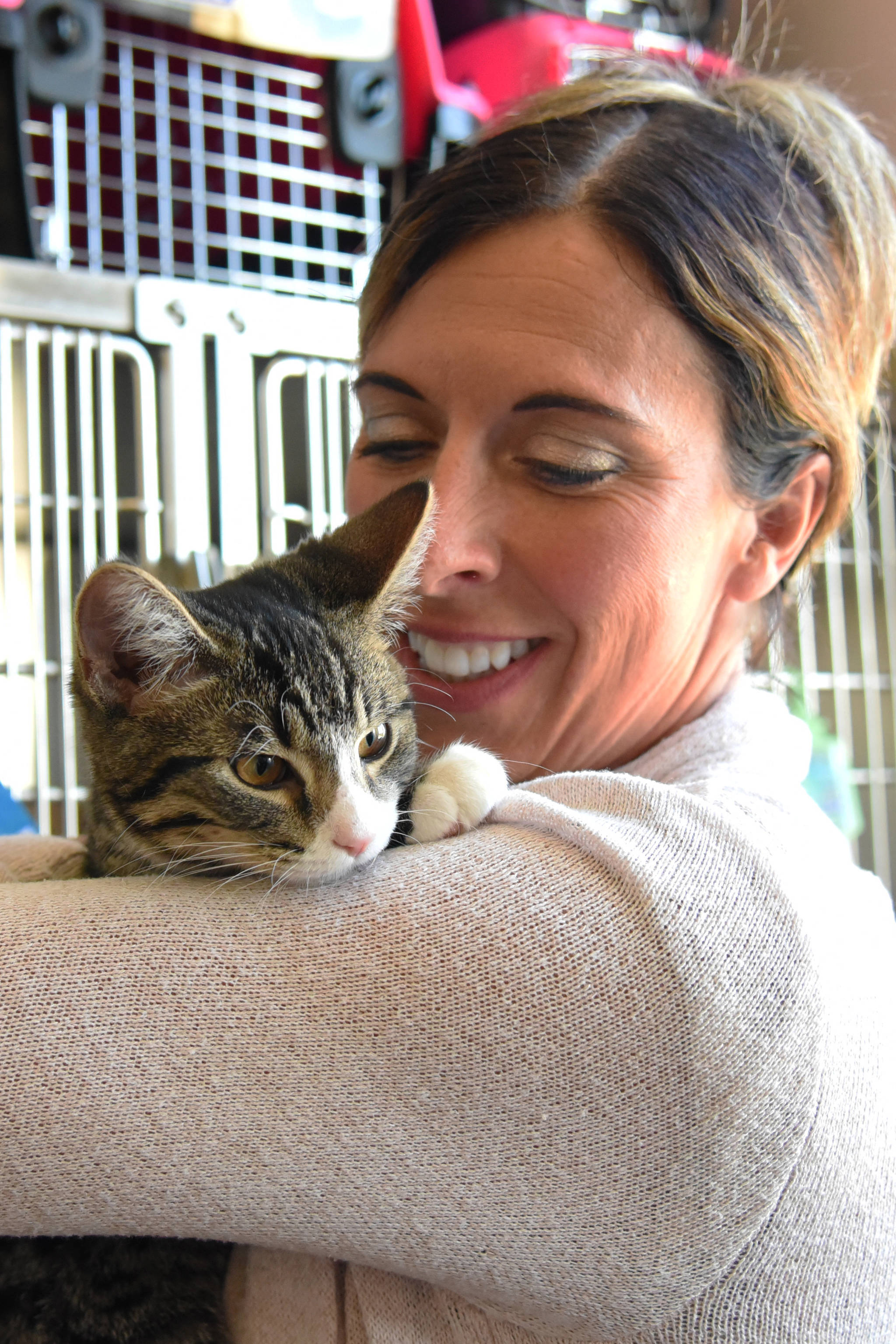 KITTEN CUDDLES - Tara Hellewell, executive director of the Central Alberta Humane Society (CAHS), holds Sven, a four-month-old short-hair brown tabby kitten at the CAHS.                                Michelle Falk/Red Deere Express
