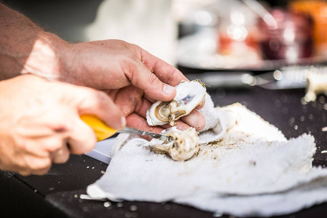 Norovirus outbreaks linked to oysters sign of water pollution: shellfish group