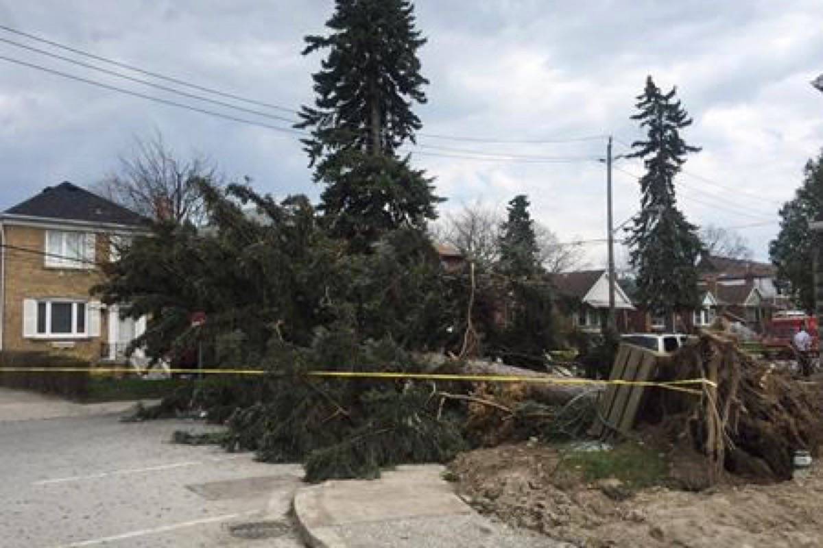 Third person dies as a result of destructive wind storm in Ontario