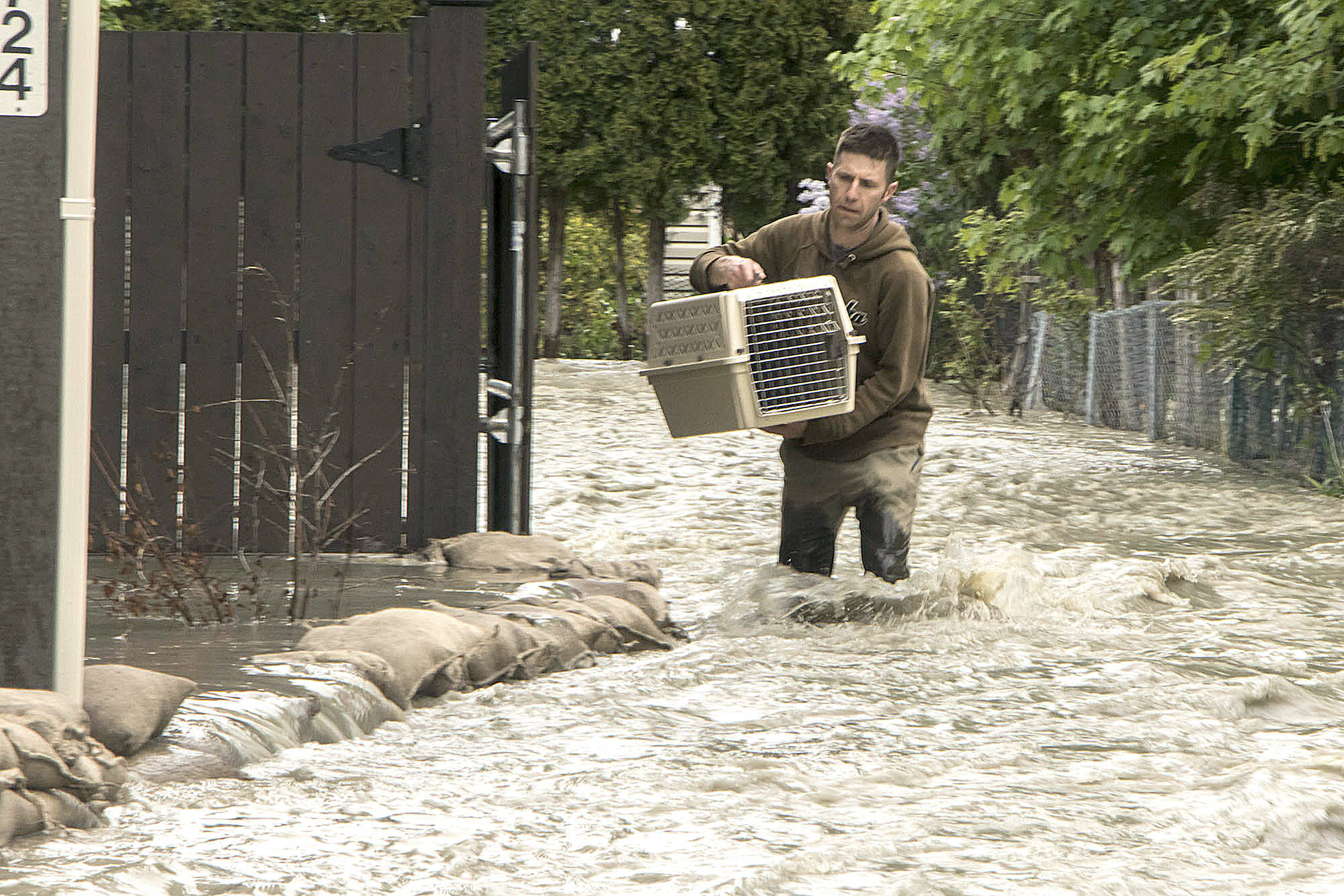 After an evacuation order is issued on 14th Avenue, among other areas, a man is seen leaving the back of his house with a cat through knee-deep water flowing strongly against him. Dustin Godfrey/Western News