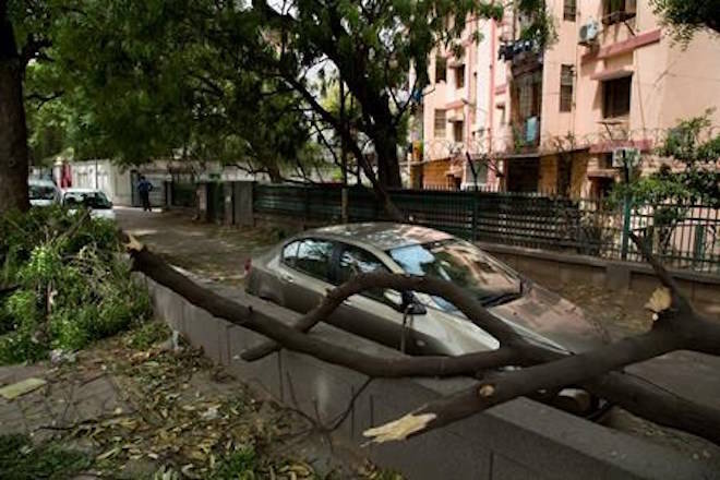 An uprooted tree from Sunday’s sudden storm is seen falling next to a vehicle, in New Delhi, India, Monday, May 14, 2018. Powerful wind and rain storms have swept across northern India, with authorities saying many have been killed. Meteorological officials say winds reached up to 109 kilometers per hour (68 miles per hour) Sunday, blowing down trees and power lines and demolishing homes. (AP Photo/Manish Swarup)
