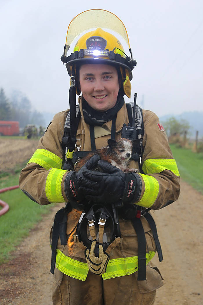 Taking care of others: A member of the Bentley District Fire Department holds a puppy that was just rescued from a structure fire May 17. The department assisted the Lacombe Fire Department in a mutual aid call. Photo courtesy of Kathi Issler, Bentley District Fire Department