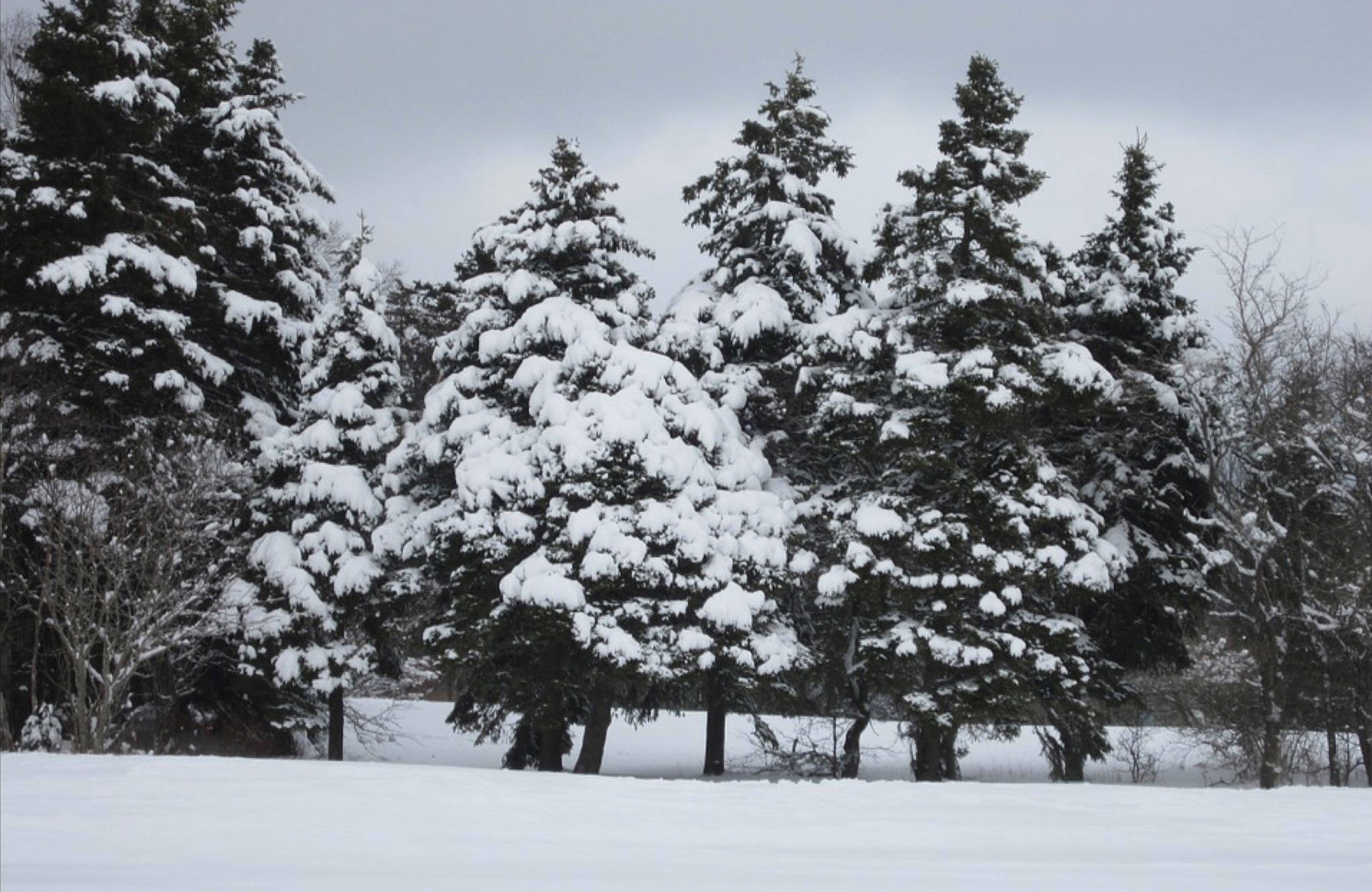 30 cm of snow expected for eastern Canada, in May