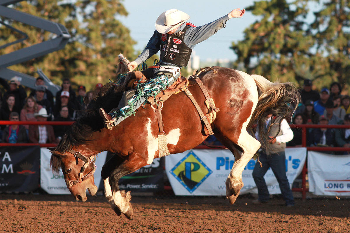 Meeting Creek’s Layton Green earned a once-in-a-lifetime centennial buckle at the Falkland Stampede over the May long weekend. It was at this time last year that Layton’s season started rolling, the same appears to be the case for this season. File photo from the Ponoka Stampede