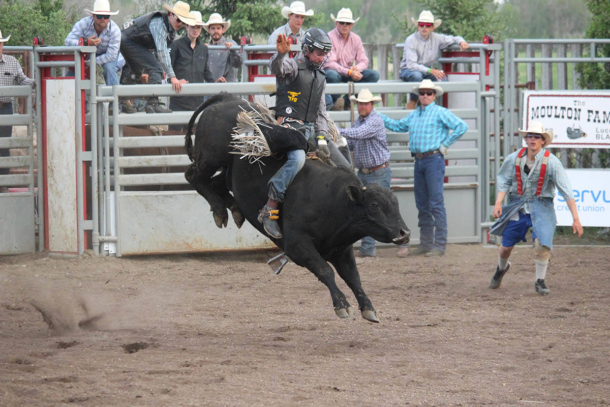 YEEHAW - Wyatt Laughlin does some bull riding at the 2nd annual Alix Icebreaker Roughstock event May 25th. Carlie Connolly/Red Deer Express