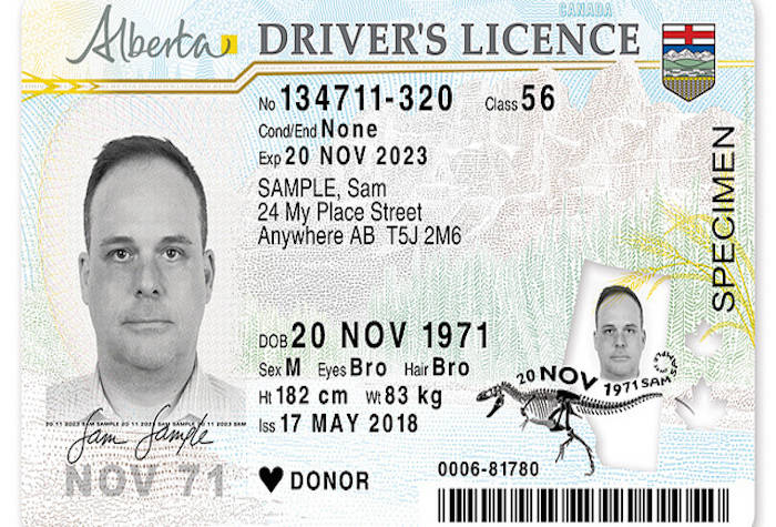 Alberta updates driver’s licences, adds iconic dinosaur – Red Deer Express