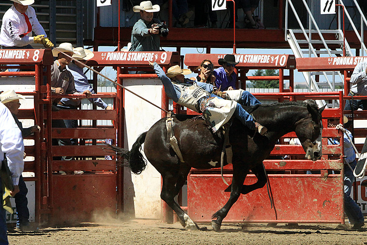 JR Vezain comes out of the chute in the bareback Wednesday and has the lead after scoring an 86.5. Photo by Jordie Dwyer