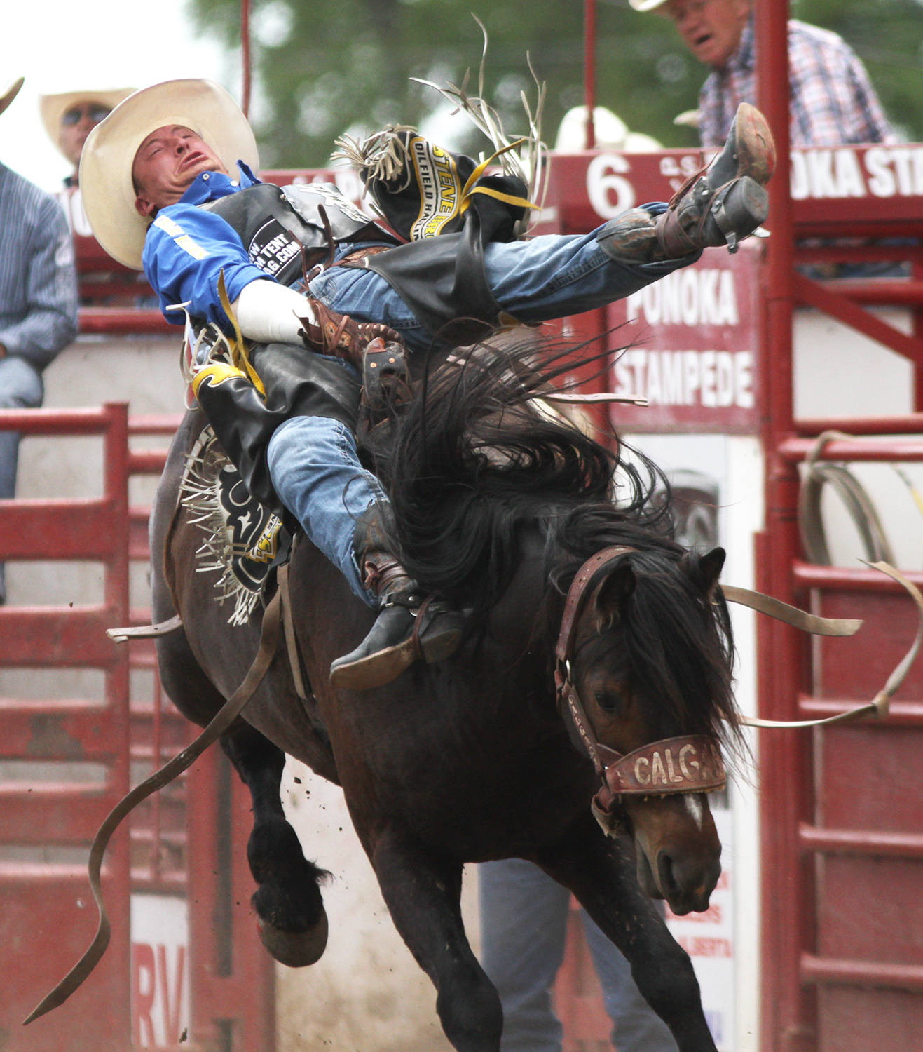 Airdrie’s Jake Vold makes a solid 88.75 ride on Not Crystal Friday afternoon to land him the first place spot of the bareback riding at Ponoka Stampede. The top 12 competitors in each event will head to the rodeo finals July 2 for a chance at the top four final rodeo showdown in the evening. Photos by Jeffrey Heyden-Kaye