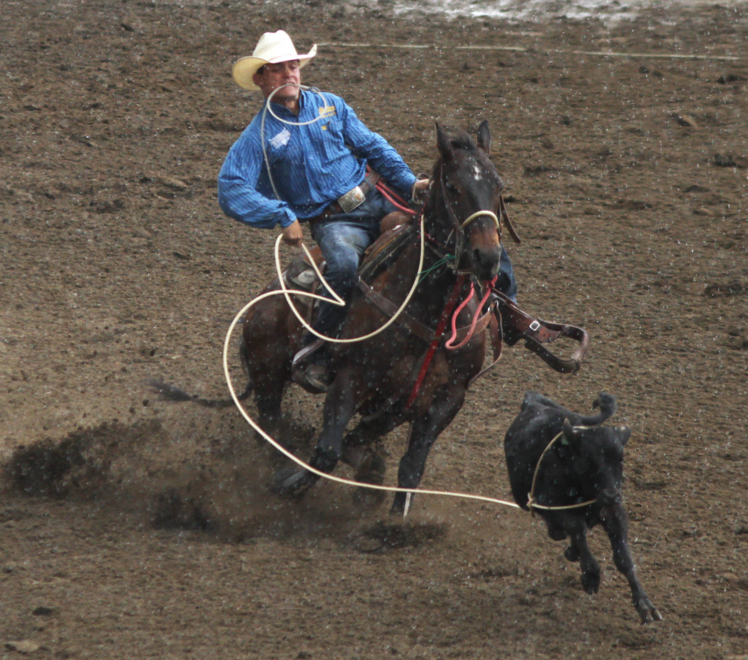 Ponoka’s Keely Bonnett makes a 9.2 second catch during Ponoka Stampede’s Friday steer wrestling event. Bonnett’s ride was good enough to land him in the fifth spot in the average, just one spot behind Rimbey’s Dean Edge.