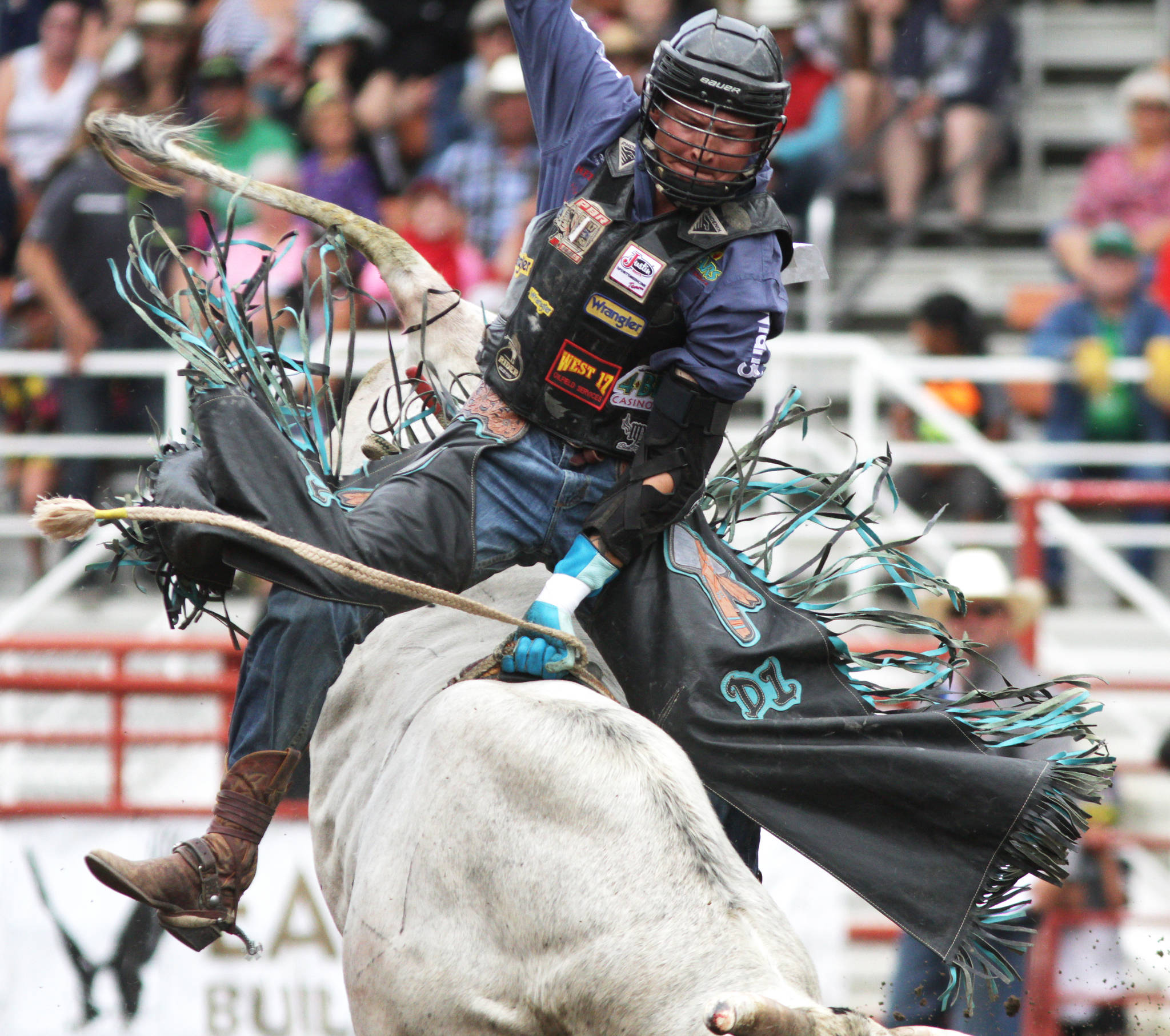Bull rider Dakota Louis from Browning MT makes a solid eight seconds on Early Departure Friday afternoon. Louis scored 83.50 securing the eighth spot. After Friday’s performance there were only eight bull riders who stayed on for the full eight seconds.