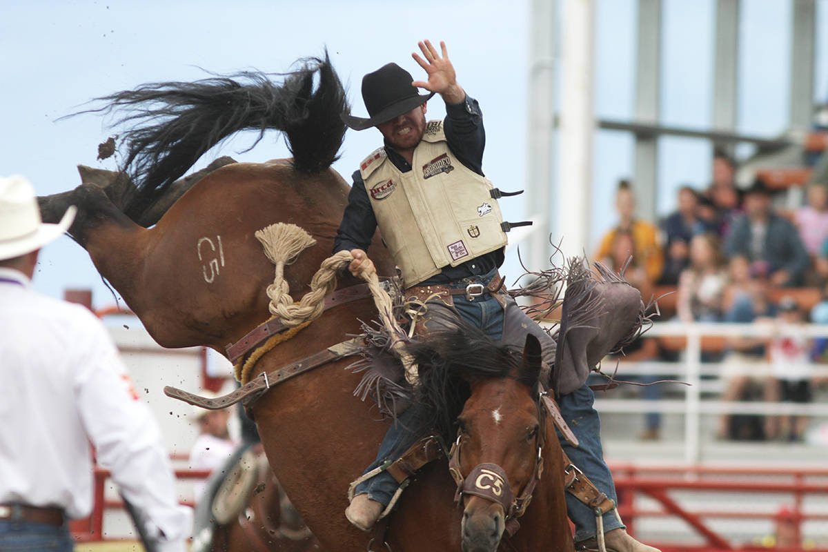 Hardisty’s Lane Watt holds on for a strong ride June 30 on the fifth day of the Ponoka Stampede. Watt managed to hold on but scored a 69.25, not enough to get him in the top 12. Photo by Jeffrey Heyden-Kaye