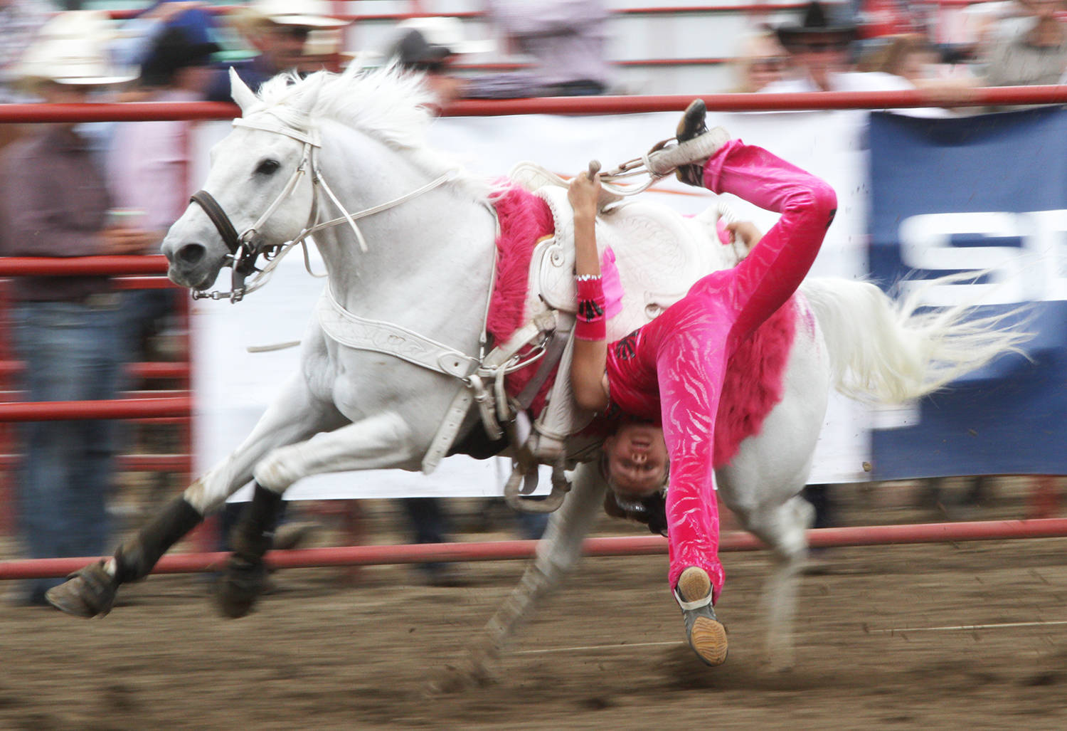 The infield entertainment continues to wow the crowd with their specialty horse riding tricks. Rae Lynn Armstrong leads the team through these fast-paced stunts.