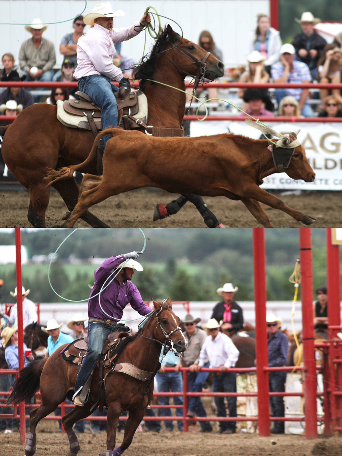 Ponoka and Lacombe team roping pair Tyrel Gordon (heeler) and Tel Flewelling also managed to remain in the top 12 with total time of 14.6 seconds, just behind Levi Simpson and Jeremy Buhler. These combined photos show Flewelling on the top and Gordon in the bottom frame.