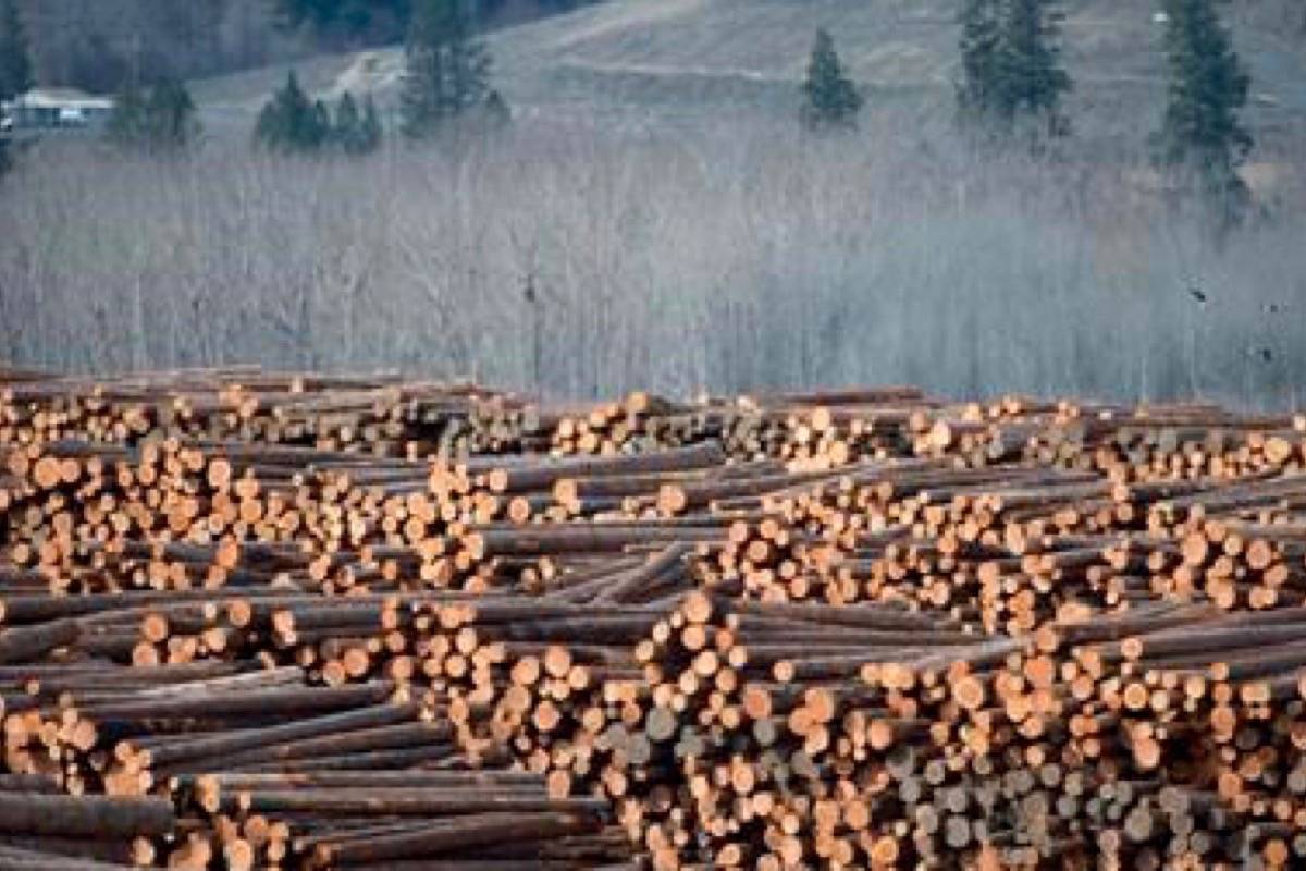 Softwood lumber shipments from British Columbia to the United States fell 20 per cent in March with railway transportation problems. (Photo by THE CANADIAN PRESS)