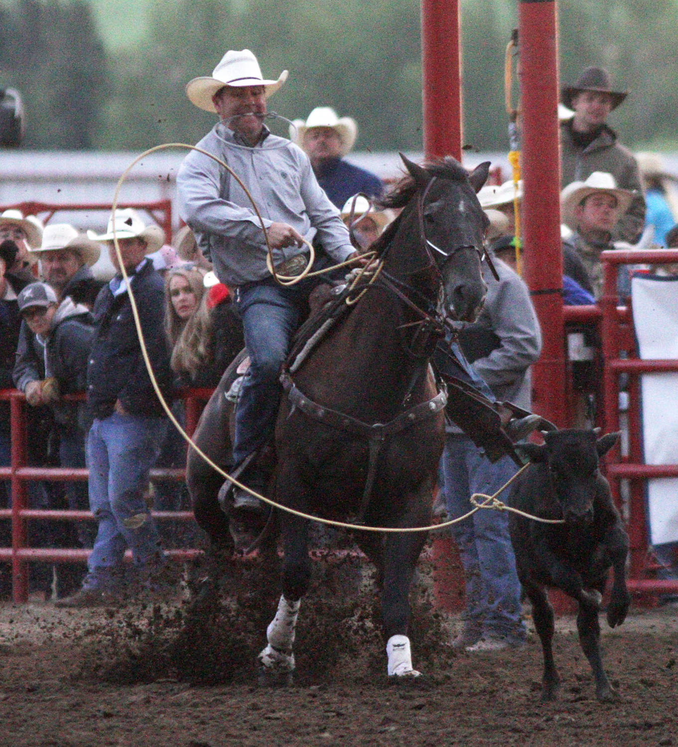 World renown team roper Trevor Brazile garners a catch and the fastest time in the tie down roping at 7.3 seconds. A solid win with $13,040 in earnings.