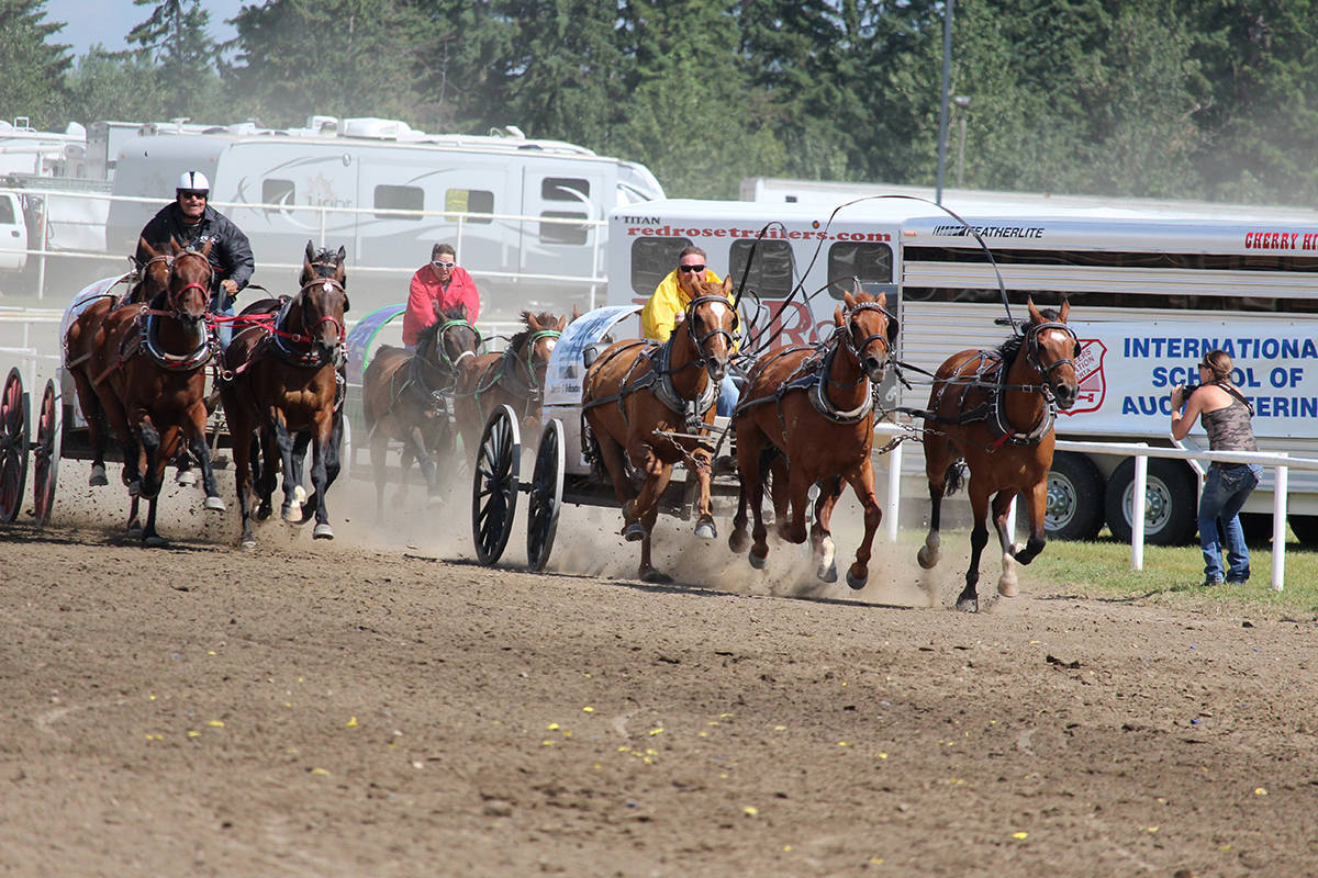 Country comes to the city for Westerner Days
