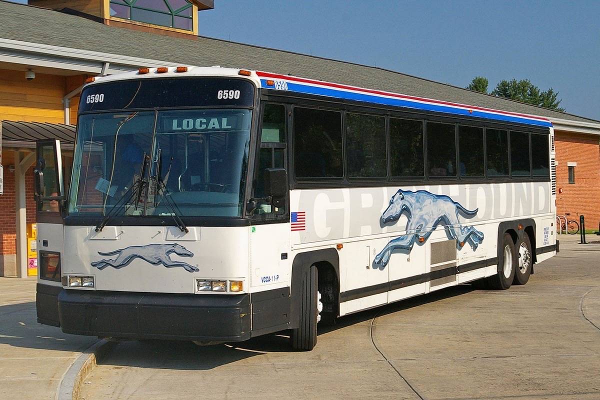 Greyhound is set to get rid of its passenger and freight service in October in Alberta, Saskatchewan, Manitoba and B.C. (File)