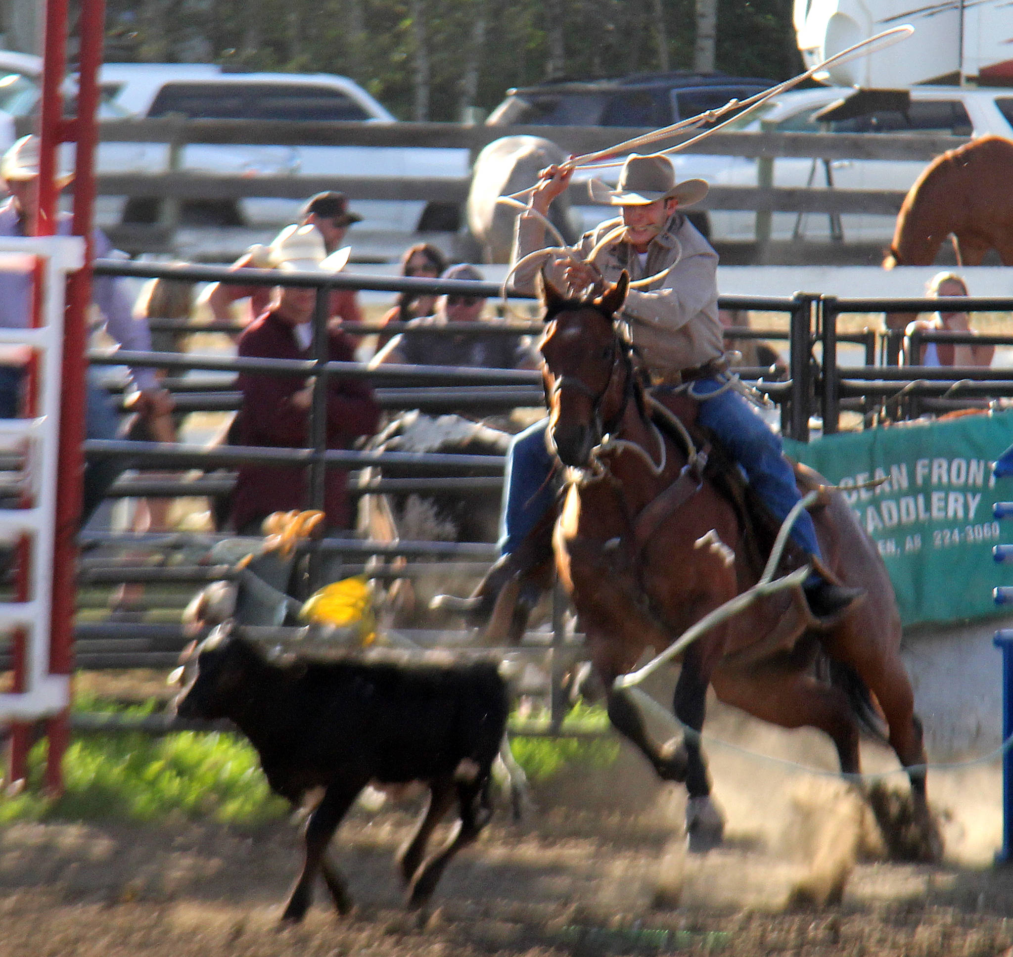 Clay Elliot takes aim at a calf during the tie-down roping event at the Benalto Stampede.