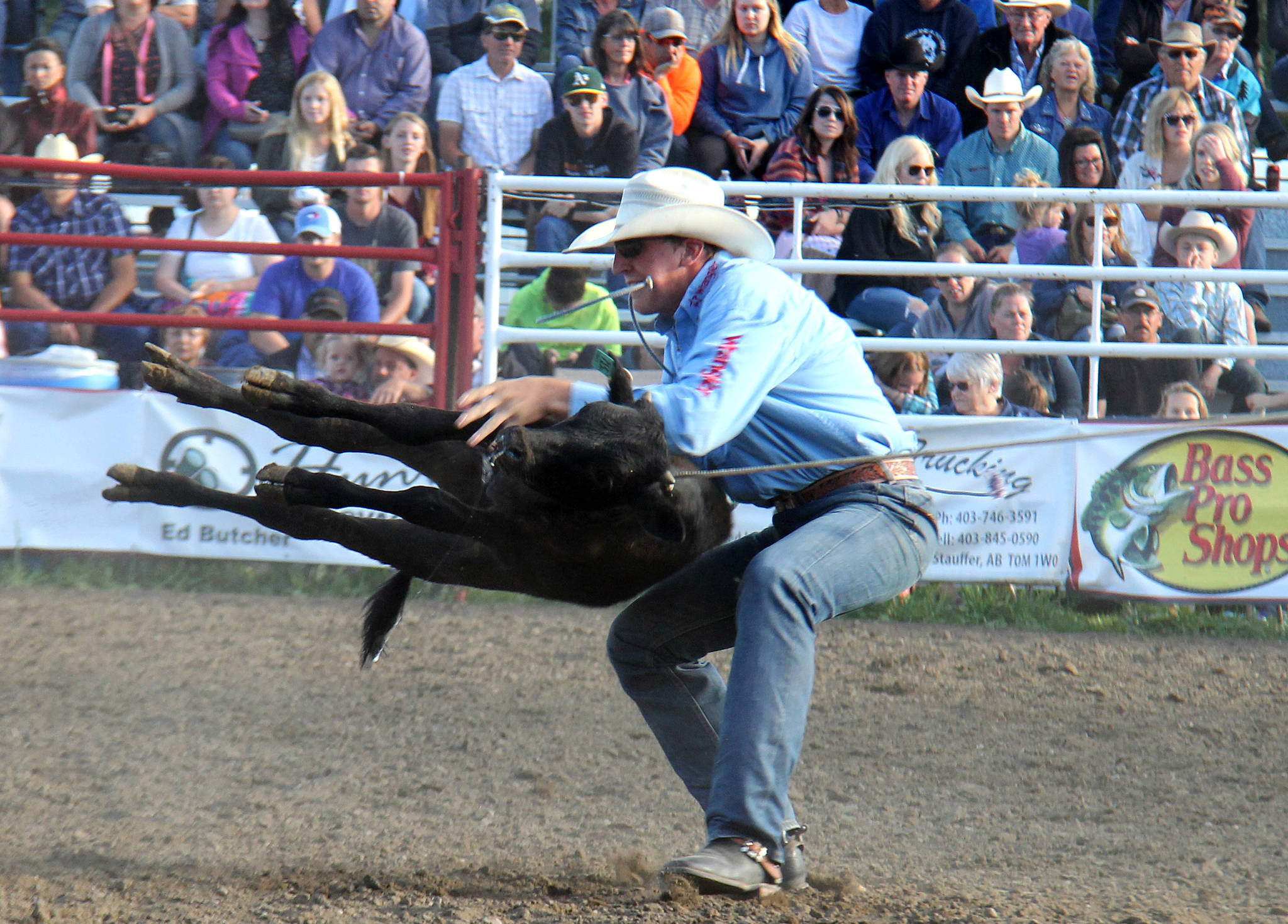 Colt Cornet flips a calf onto its back to complete the tie-down roping event. Cornet had one of the fastest times of the night, and put him on the leaderboard.