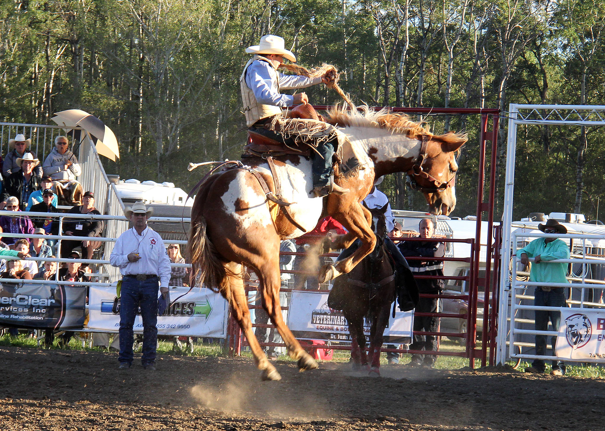 Dusty Hausauer tightens his grip as his horse works to buck him off during the saddle bronc event.