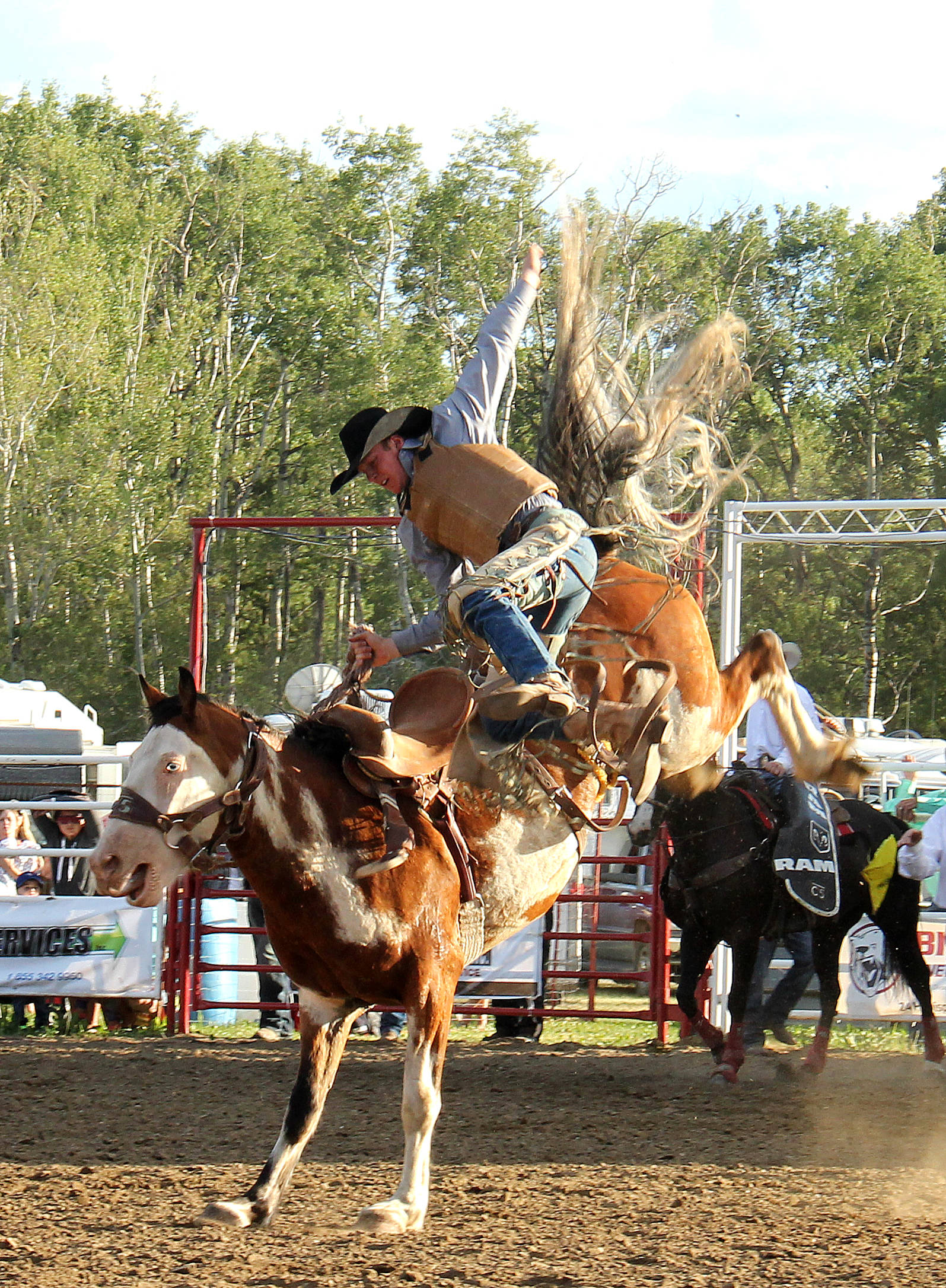 Jake Burwash is bucked from his horse during the novice saddle bronc event at the Benalto Stampede.