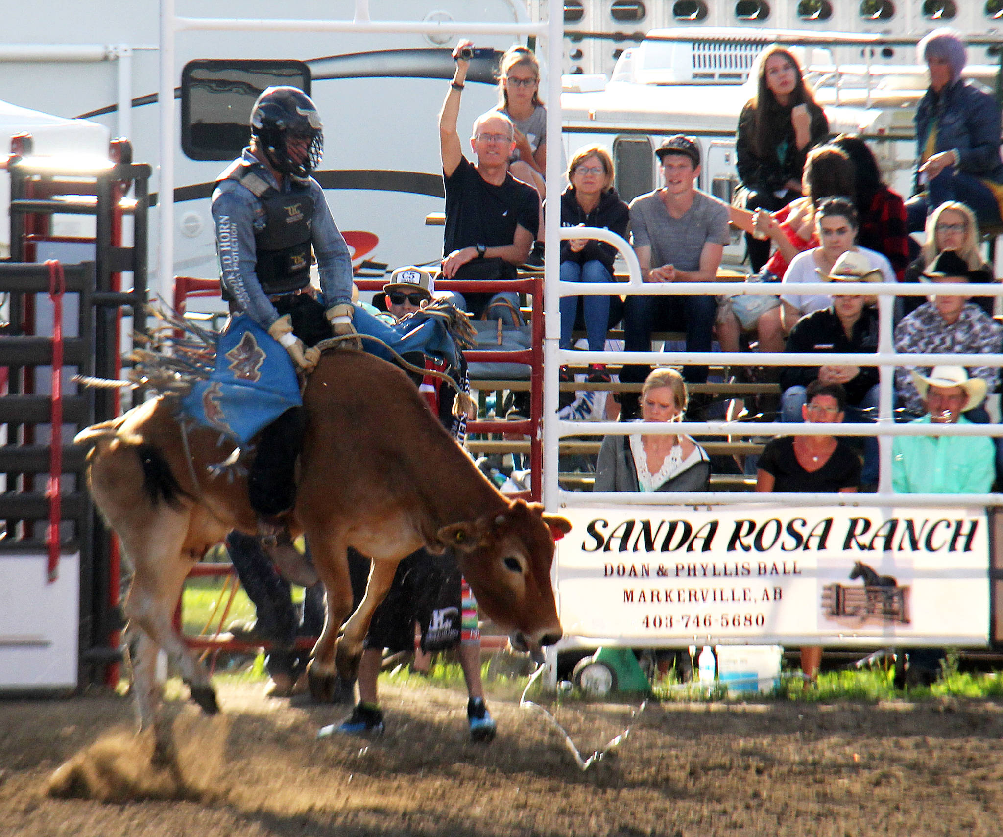 Jett Lambert keeps his eyes on the prize as he rides in the boys steer wrestling event at the Benalto Stampede over the weekend.